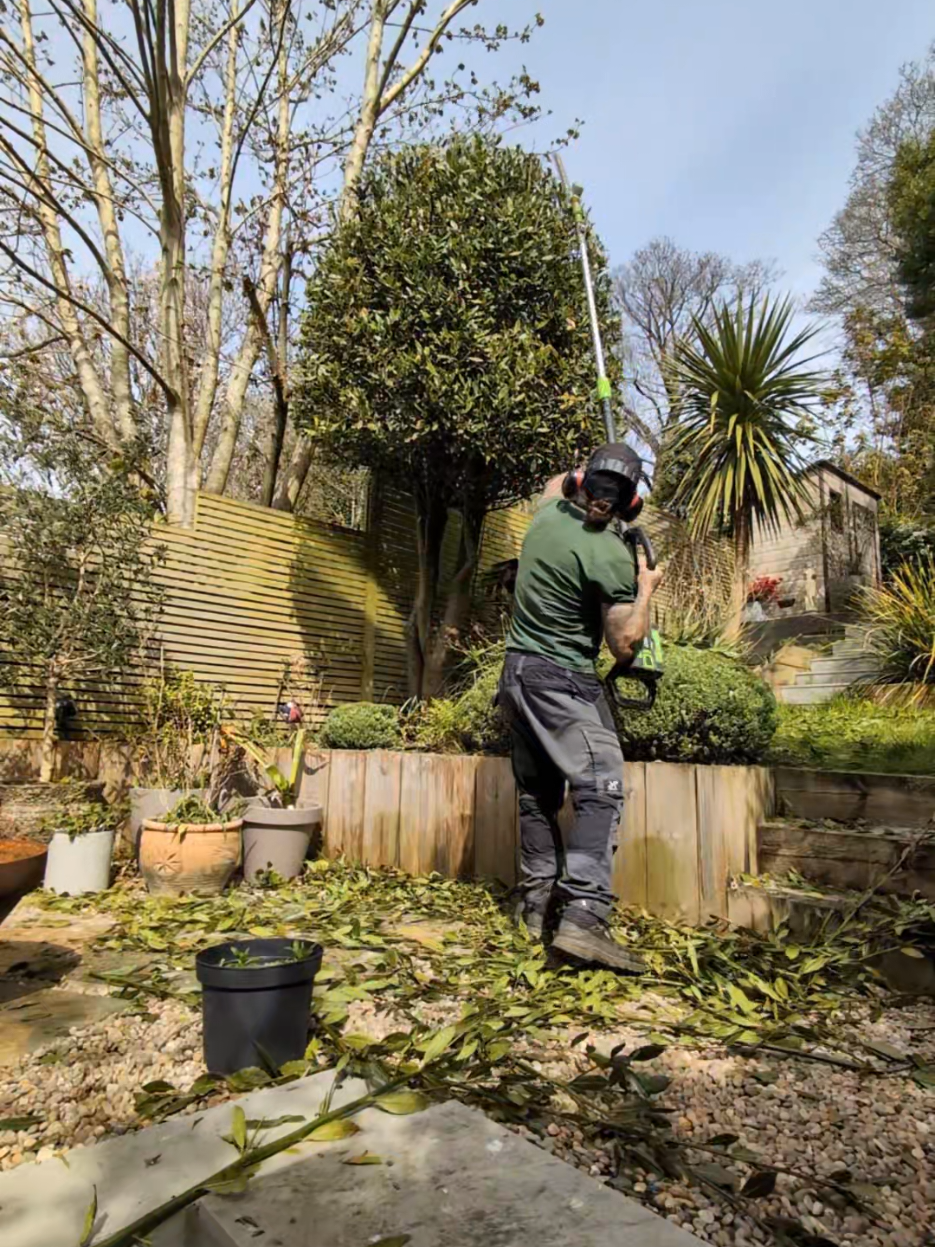 @Gary Hall Garden Services