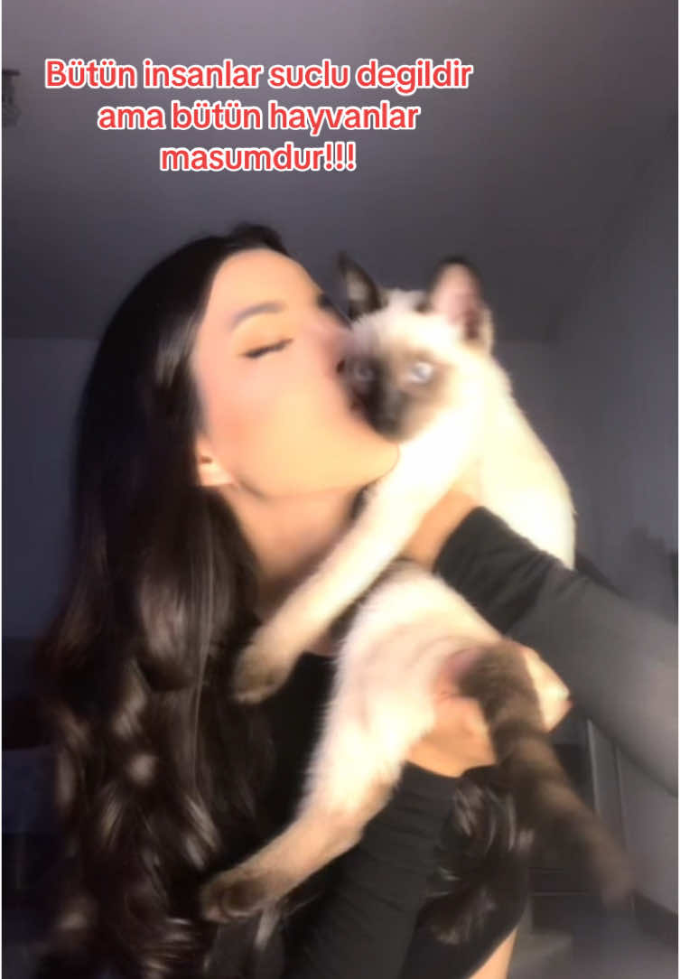 @d