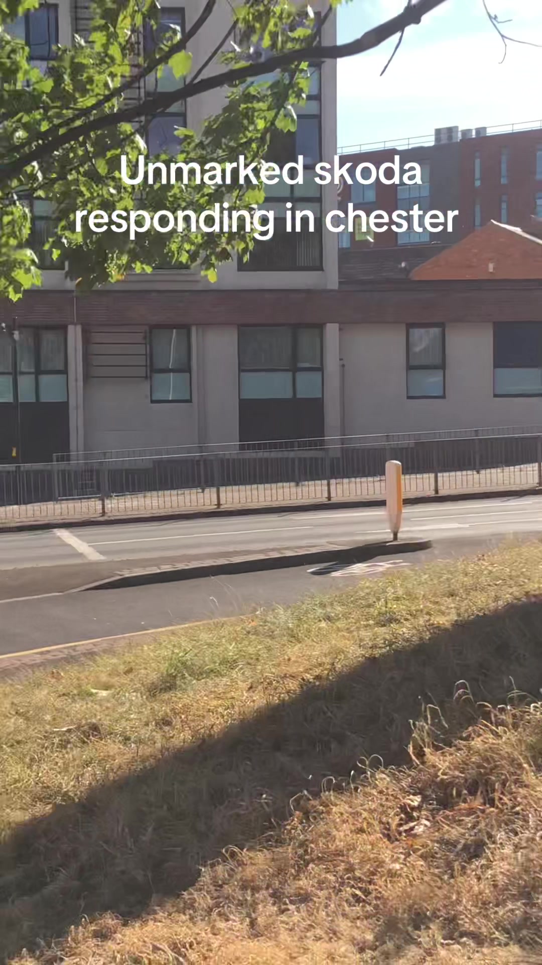 @cheshire.spotting