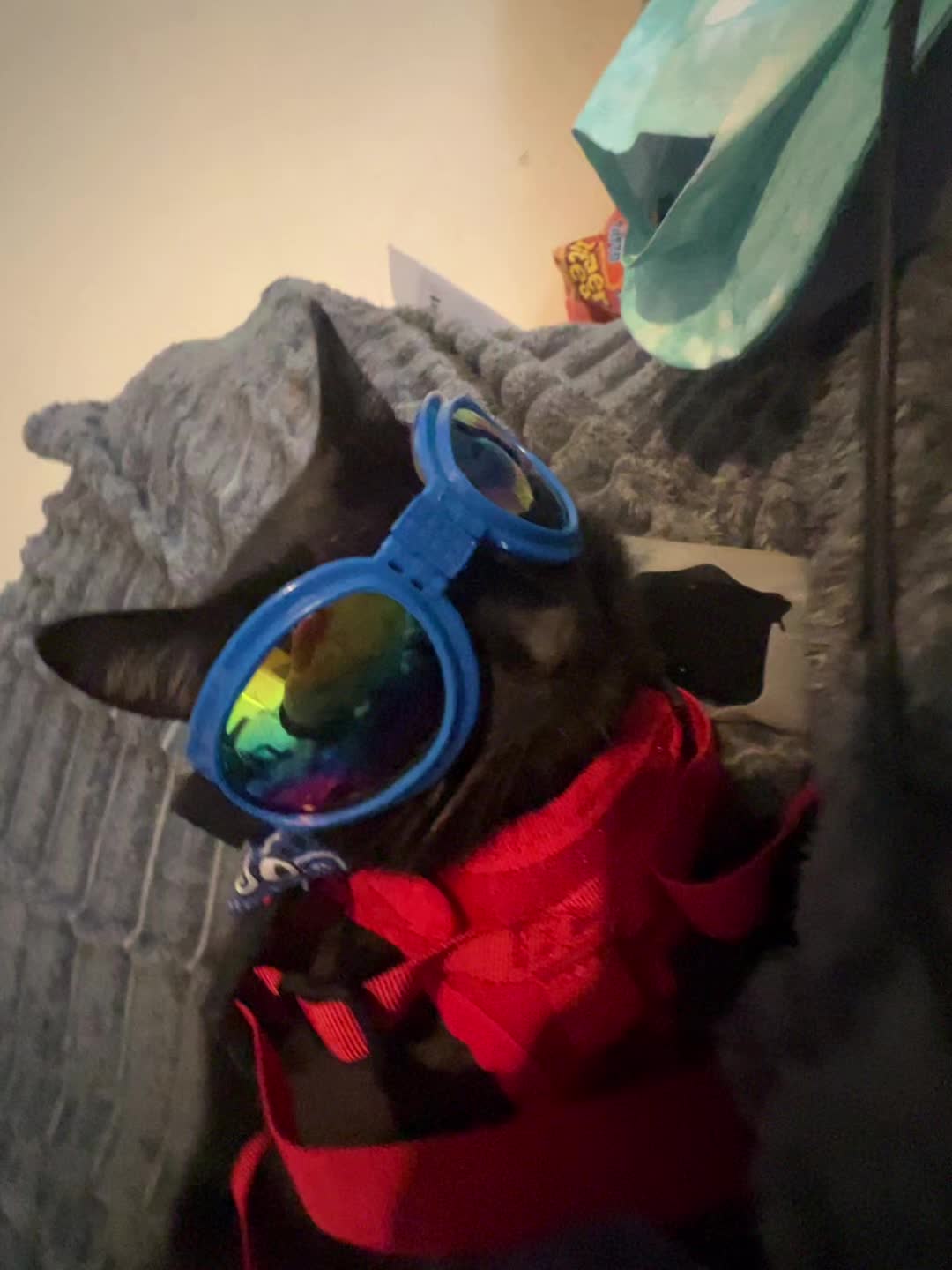 @ur.fav.emo01