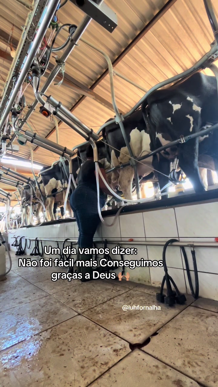 @Luh fornalha 🦚🐓🚜