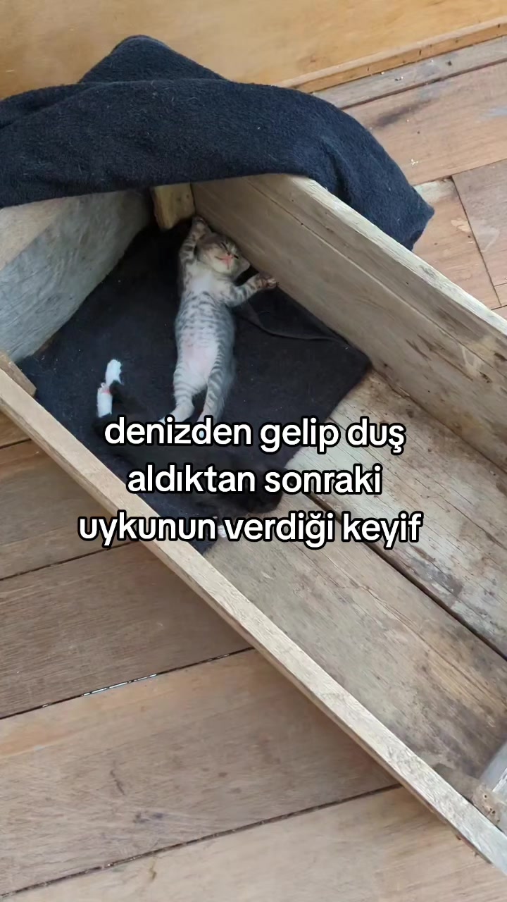 @rolland
