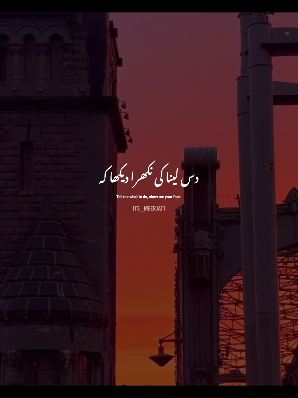 @Its_Meerjat
