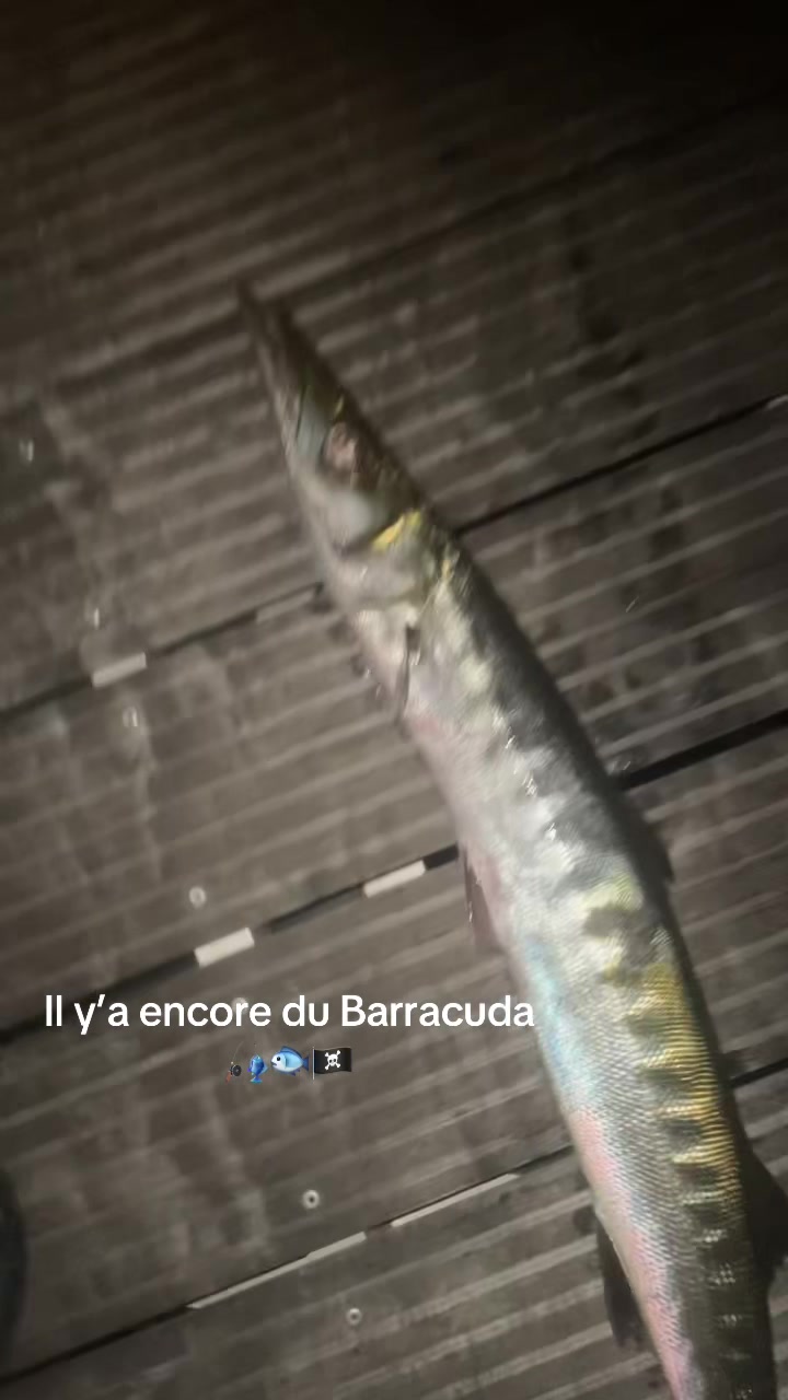 @P&ecirc;cheur Masqu&eacute;
