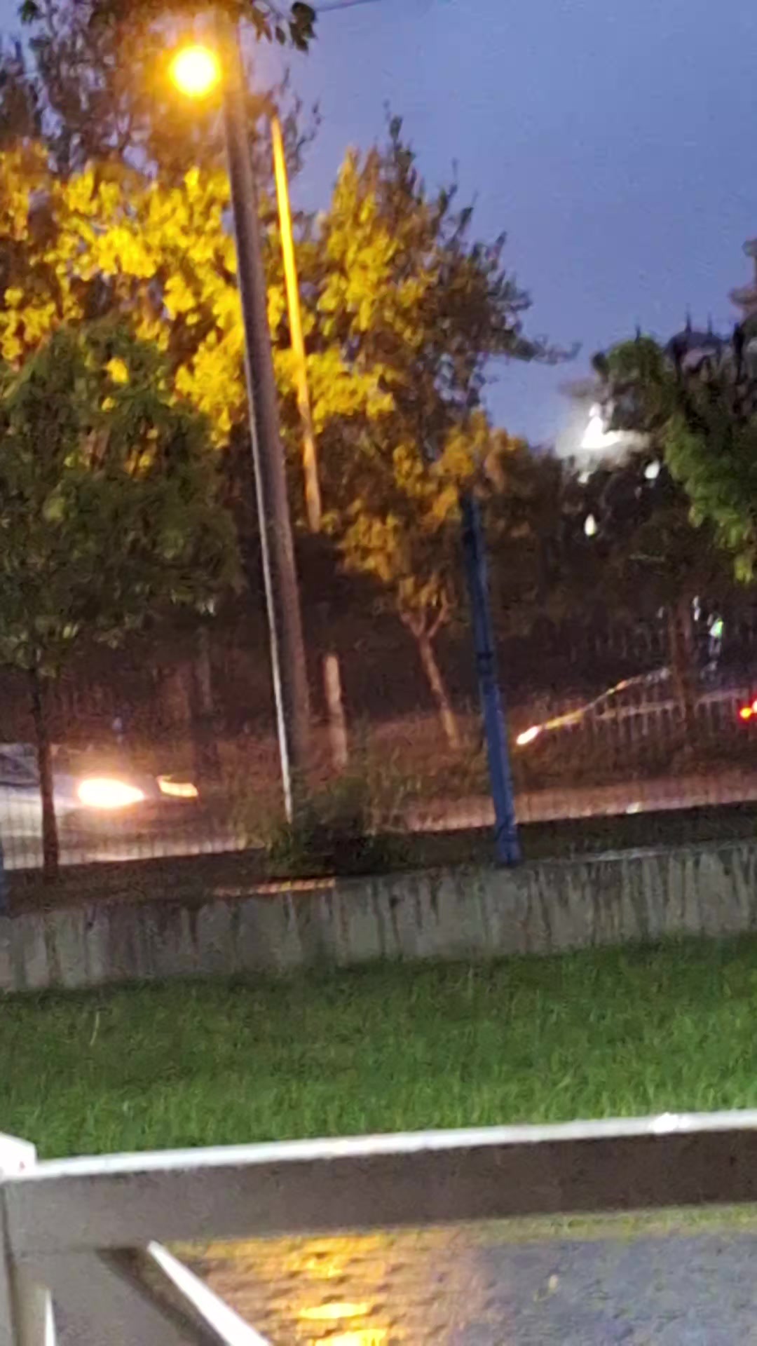 @kalbimm 42