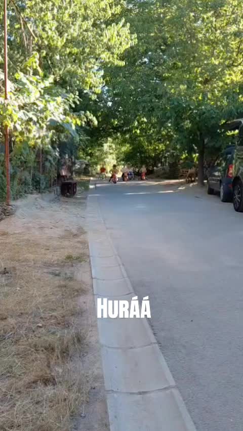 @Zs&eacute;da