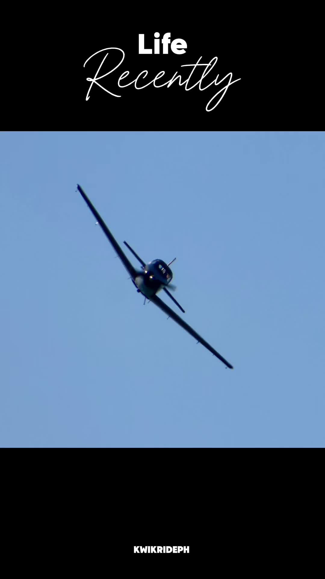 @madronesandphotograph