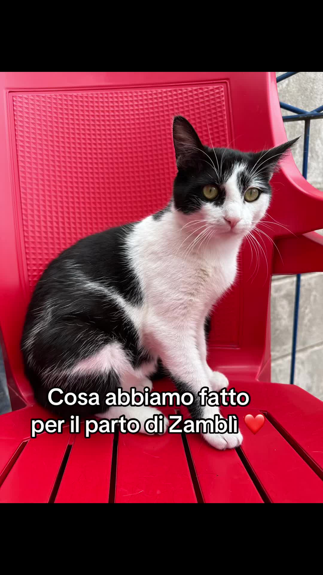 @Kiki AryaSirius Carrara