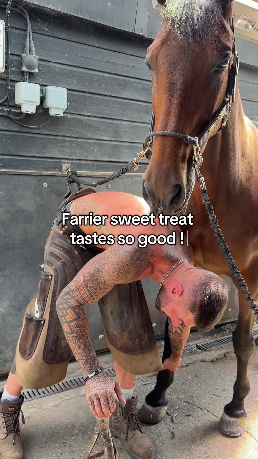 @Sammarlowfarrierlife