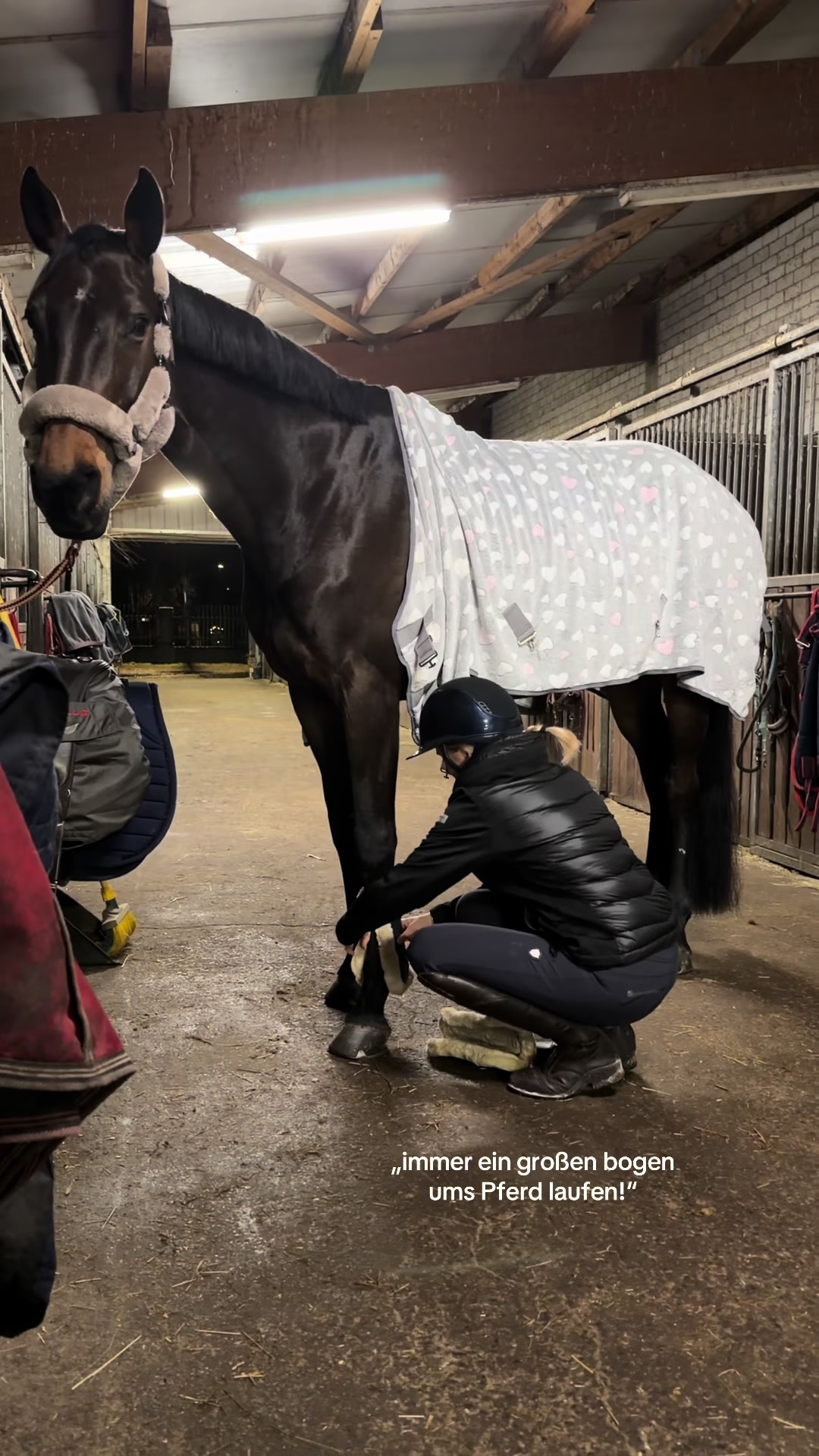 @_leonie_equestrian_