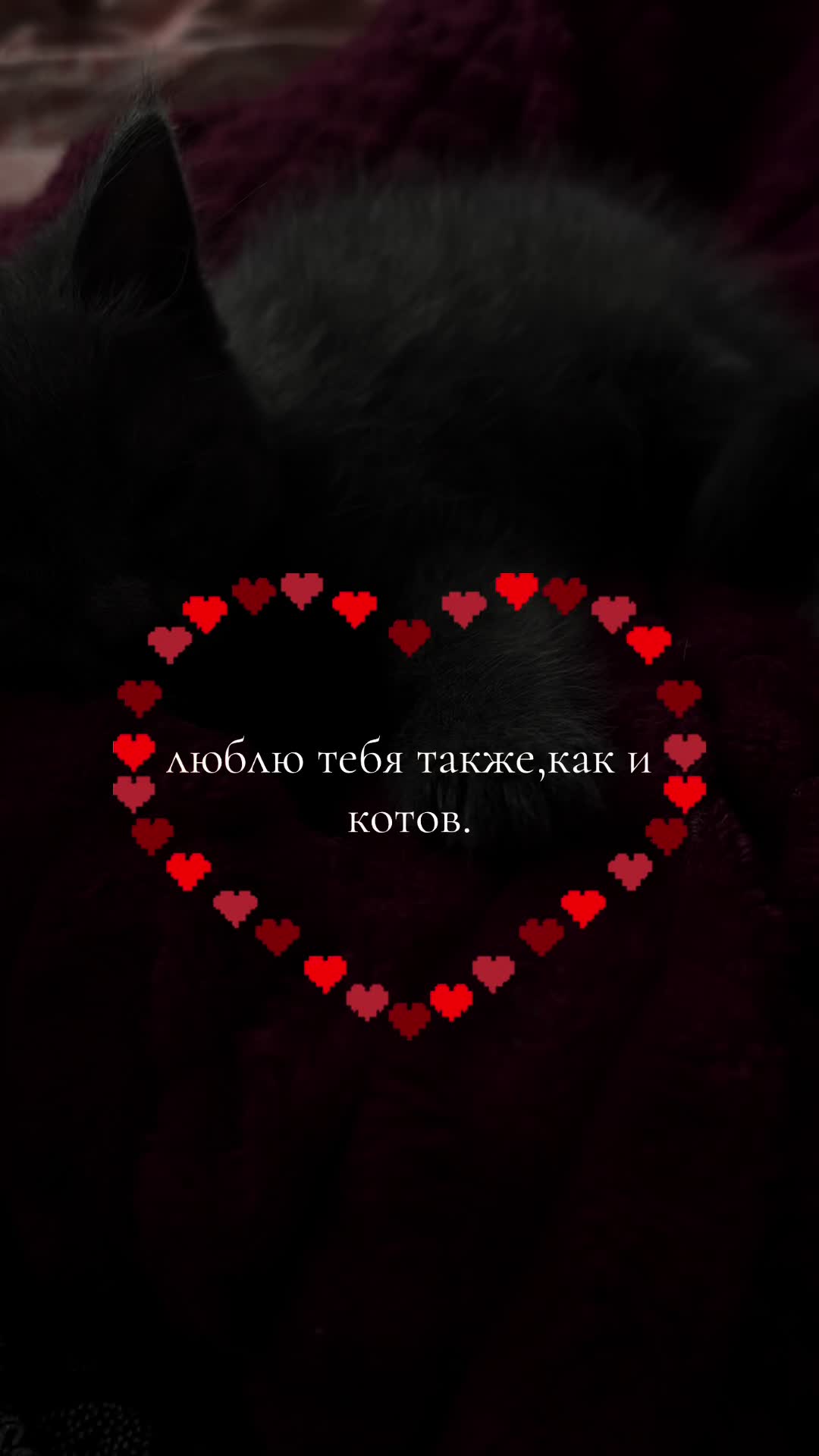 @ТГК:дашкк)