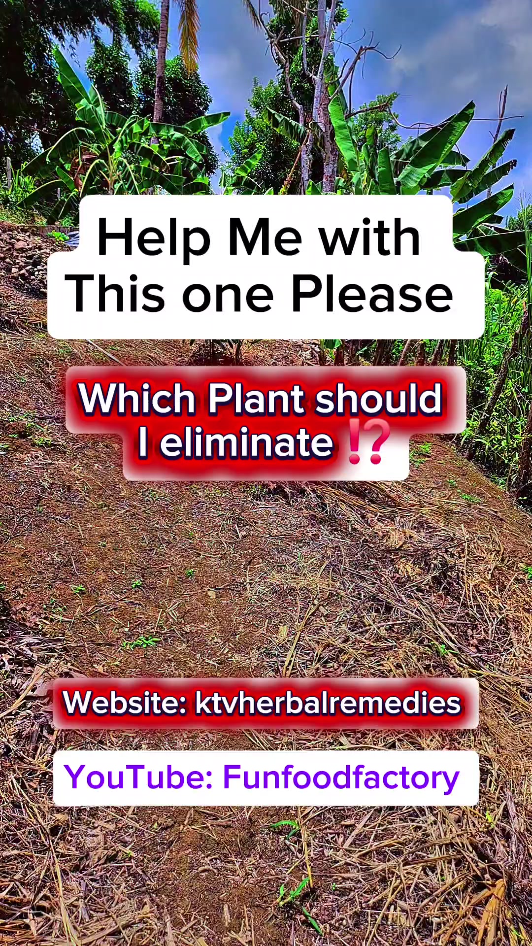 @knowledgeabletrueversion