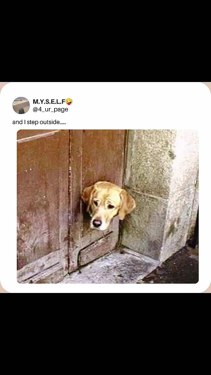 @M.Y.S.E.L.F🤪