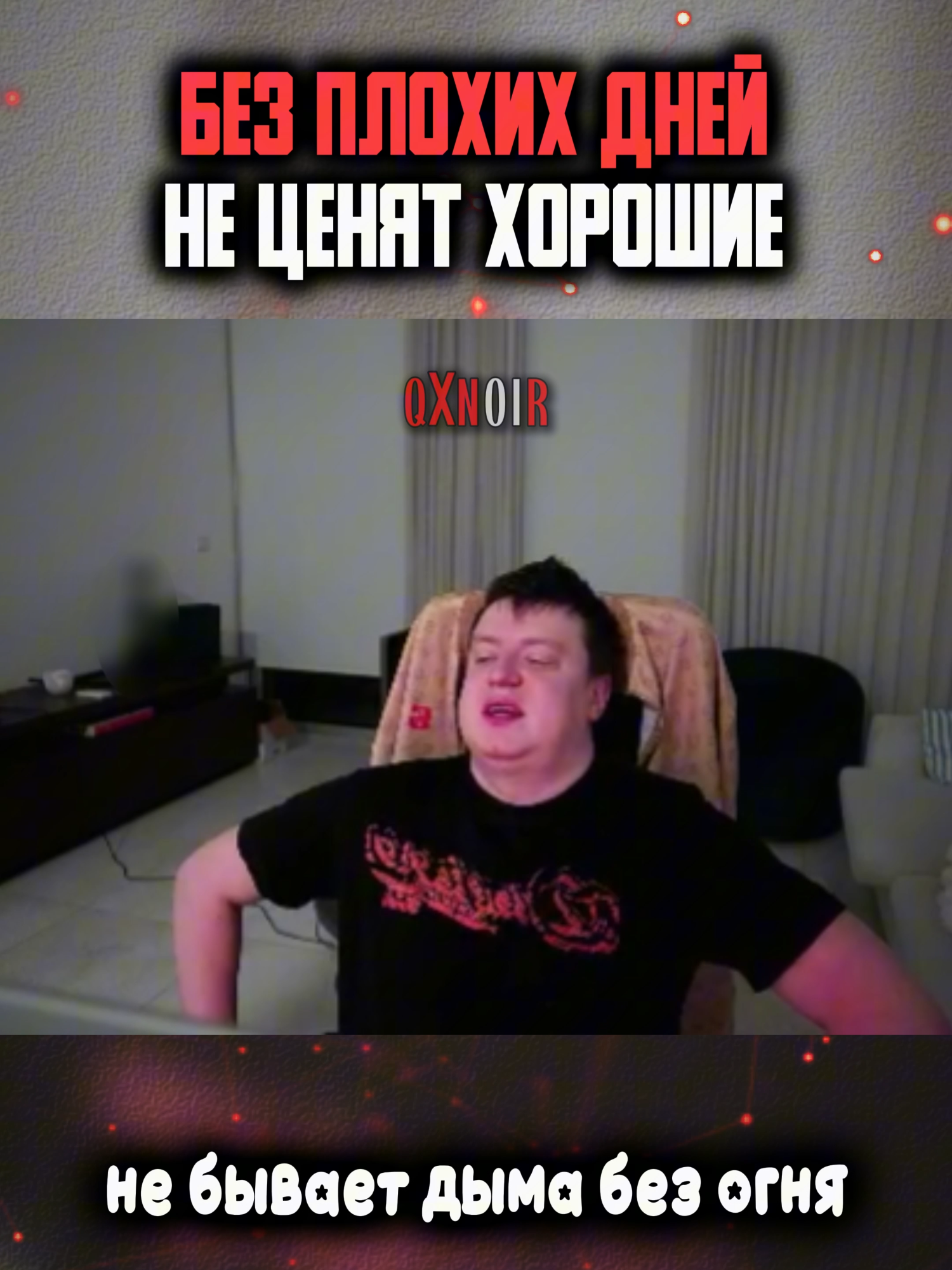 @qxnoir