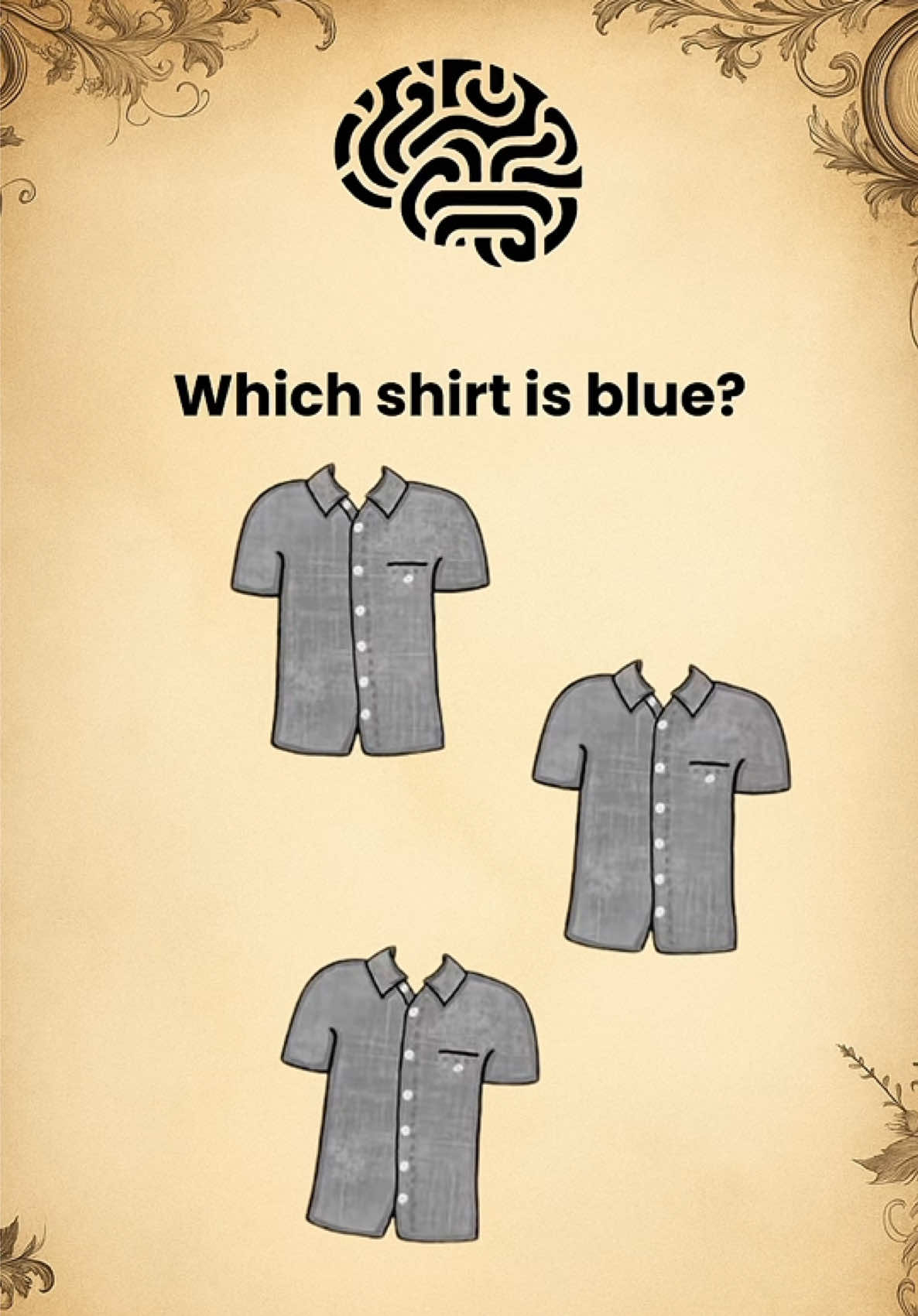 @&bull;Intuition Test&bull;