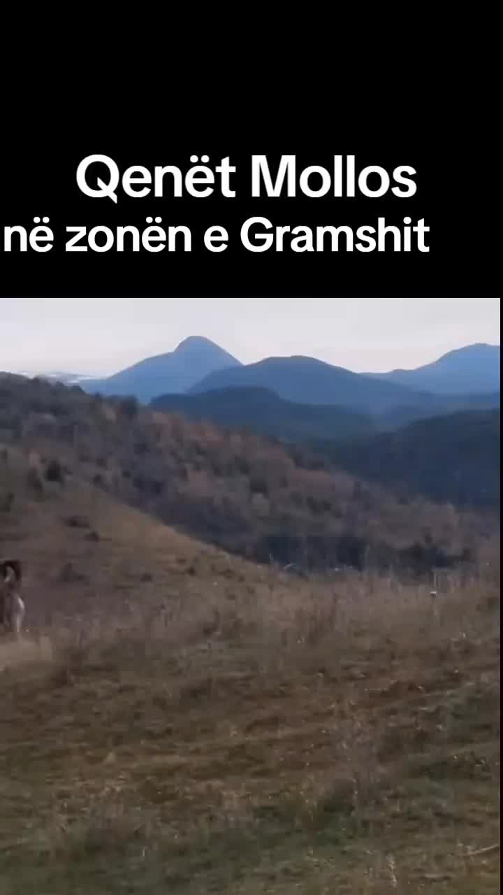 @Arianitët2 kula