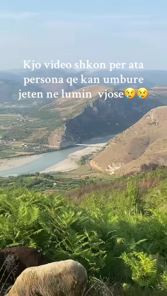 @STANI_COBANIT😍