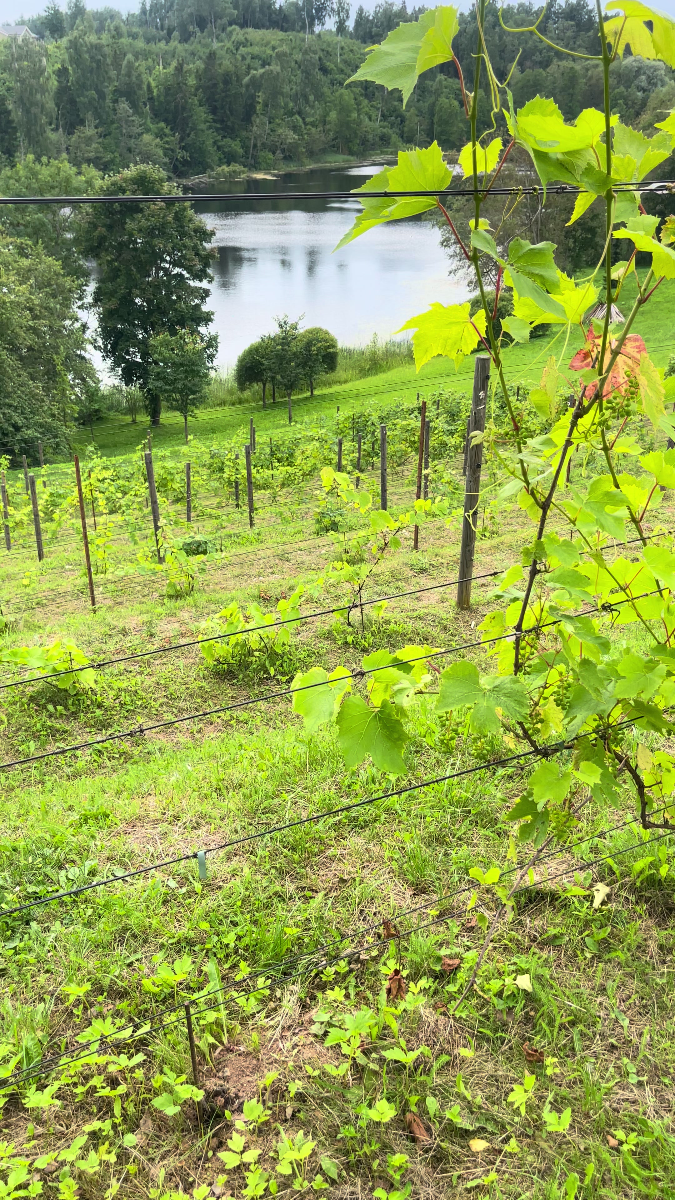 @Luna