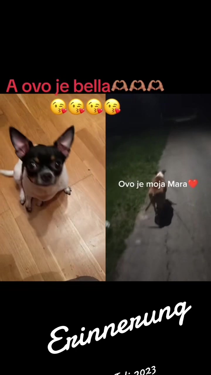 @Maja 69