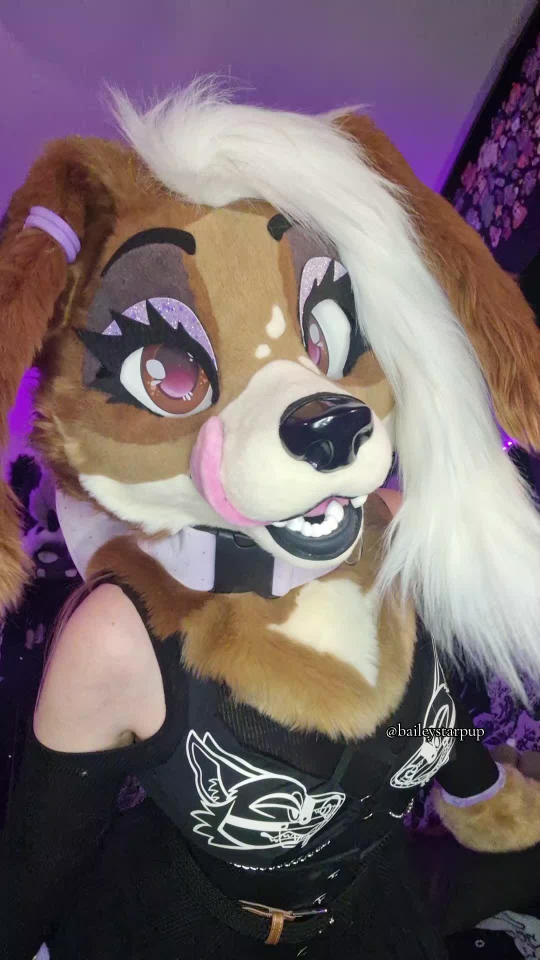 @Bailey (lilpixiekitten)