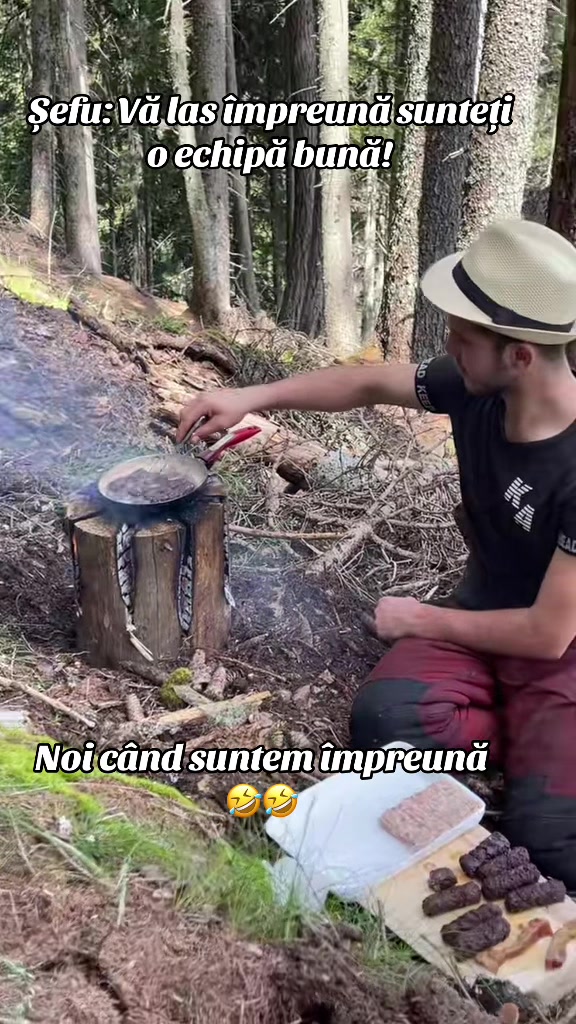 @Nicu Văsieș