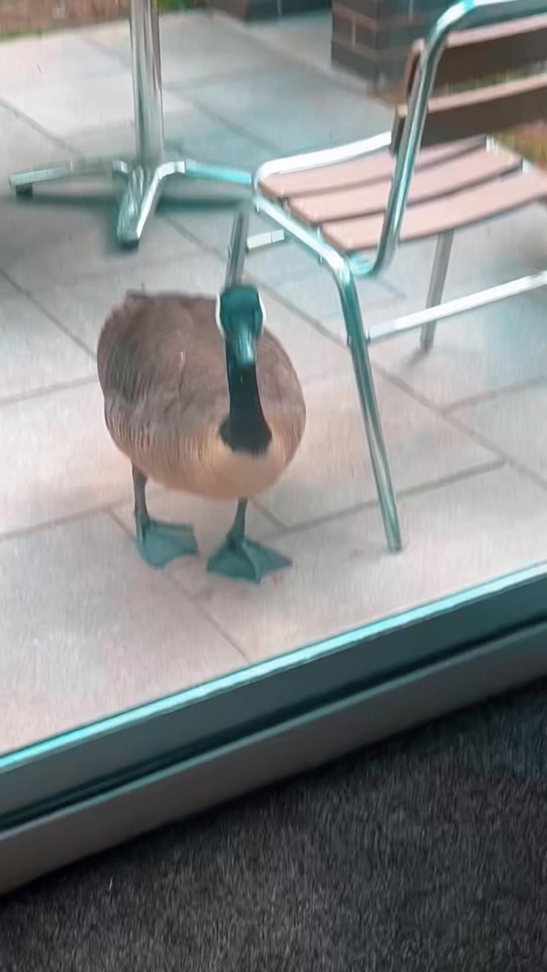@๐ค ๐๐ช๐ป๐ ๐ ๐ค
