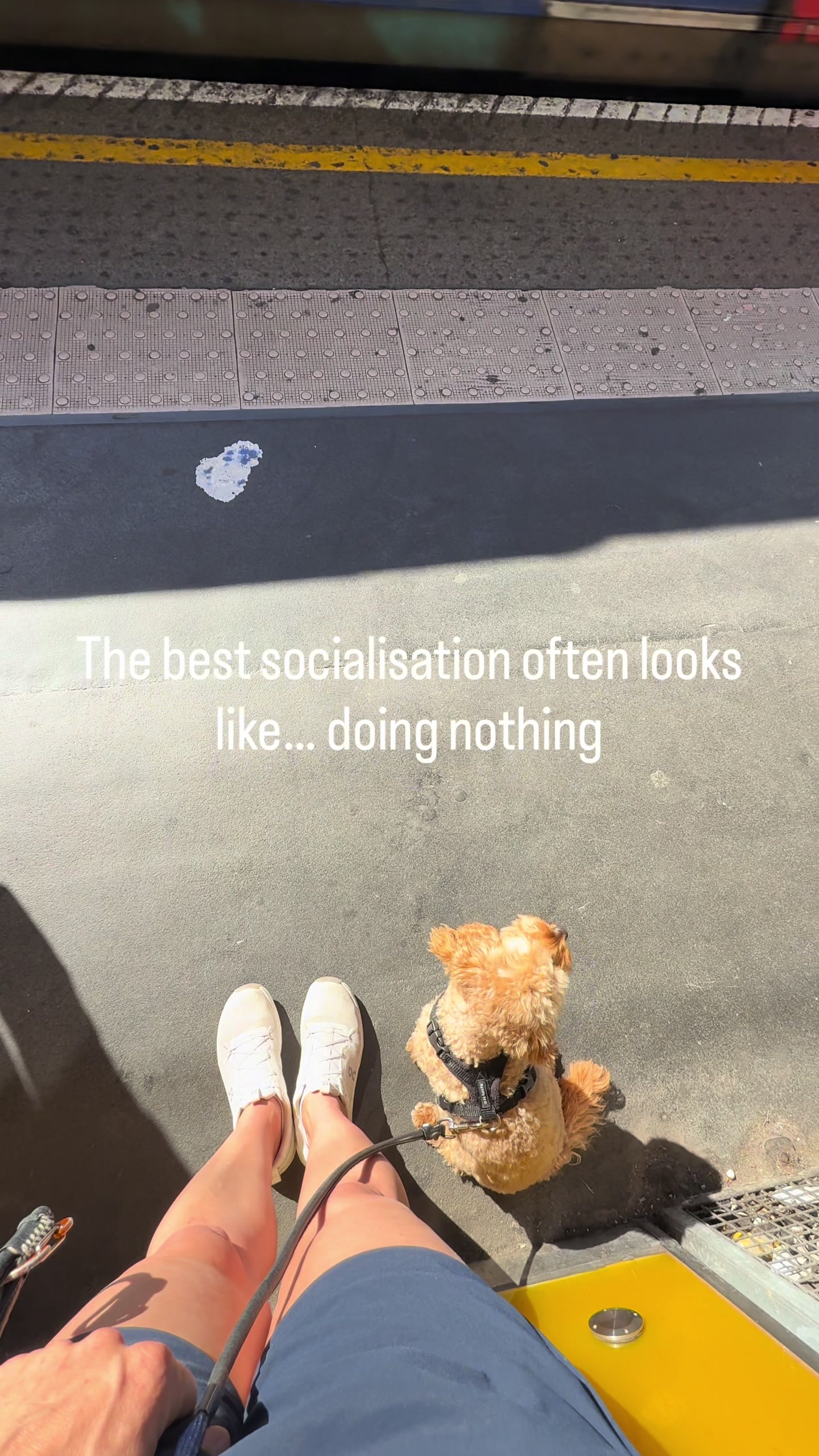 @MilneandMutt