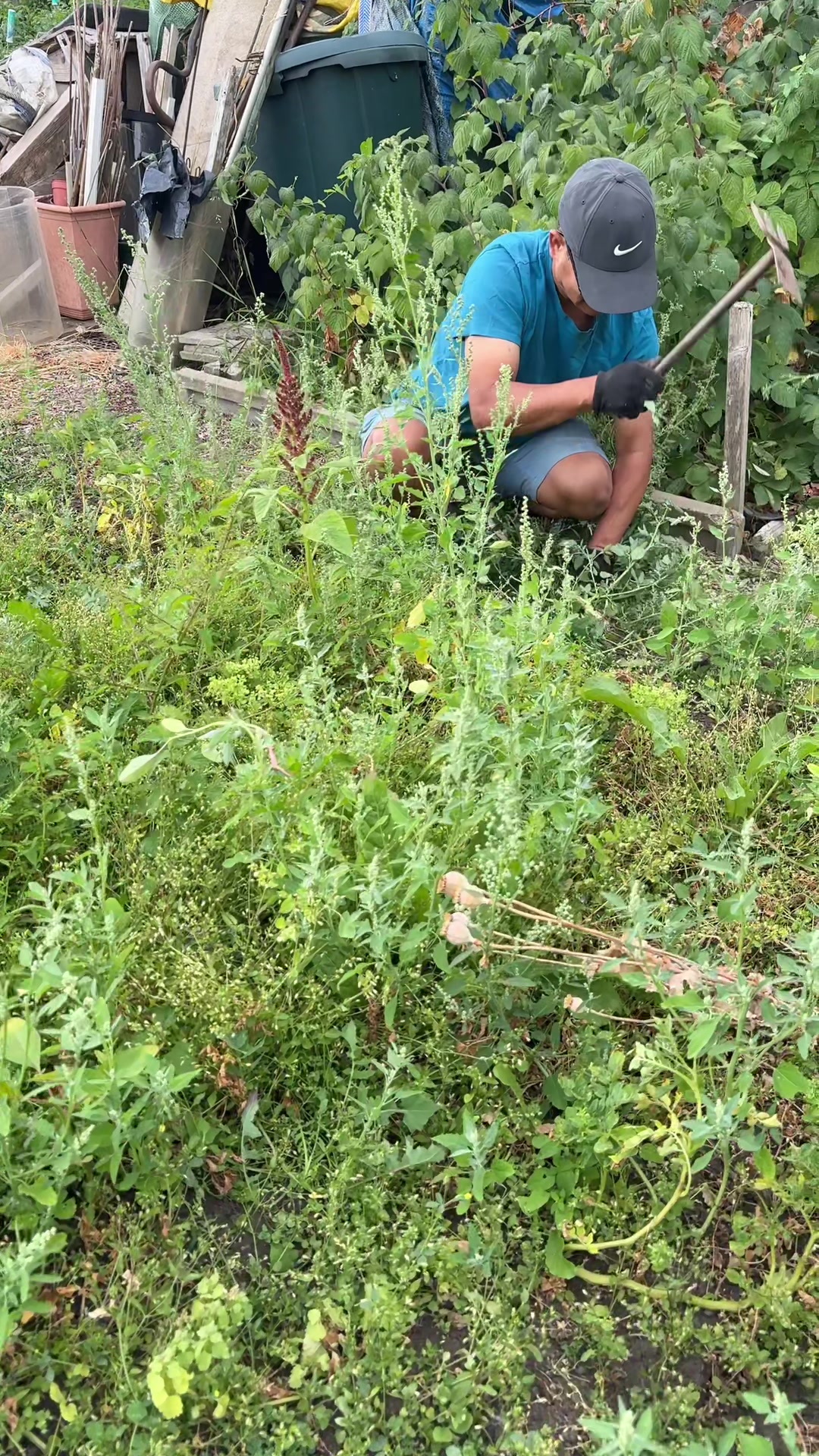 @Kamala Rai