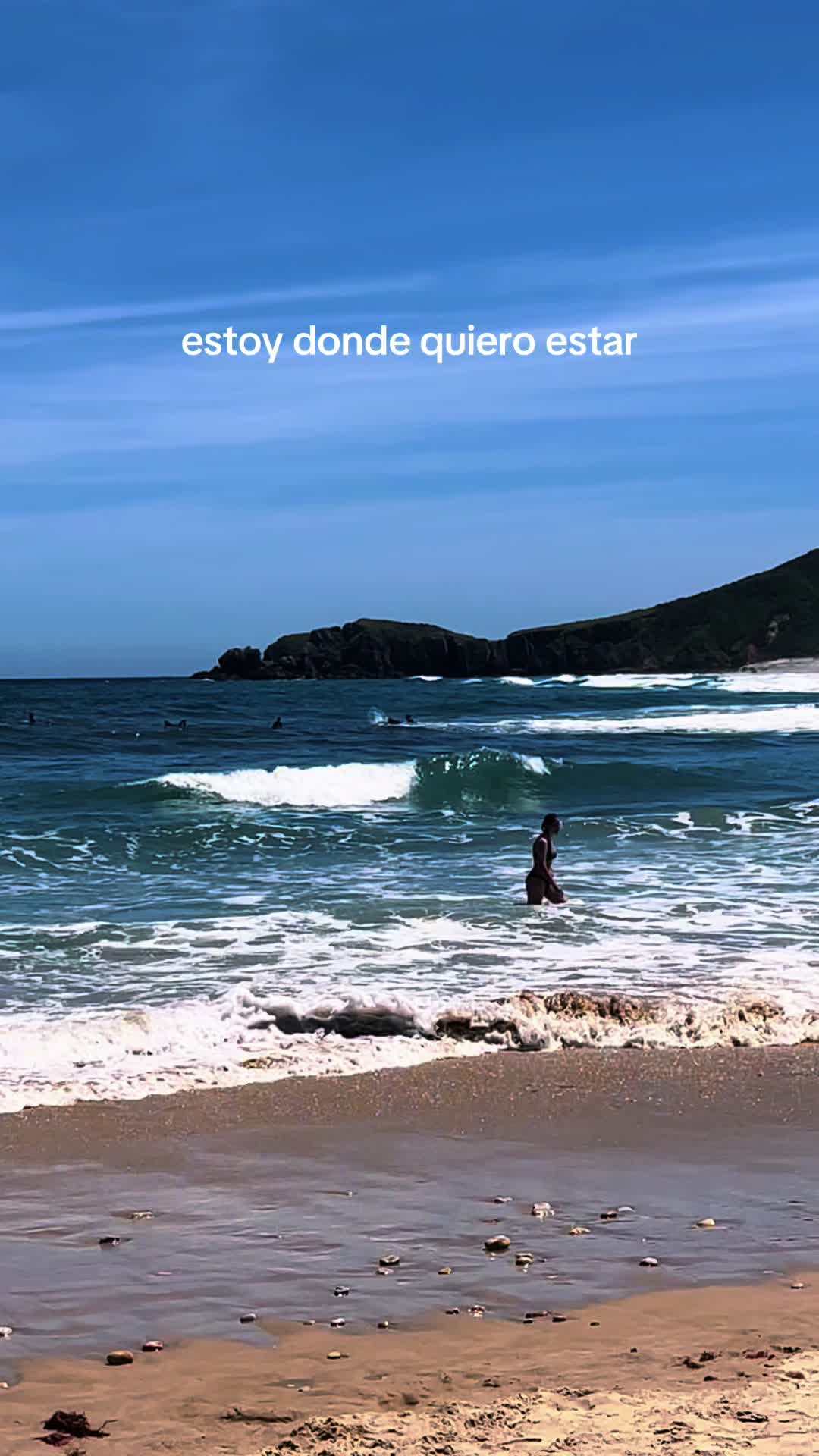 @danisorfer