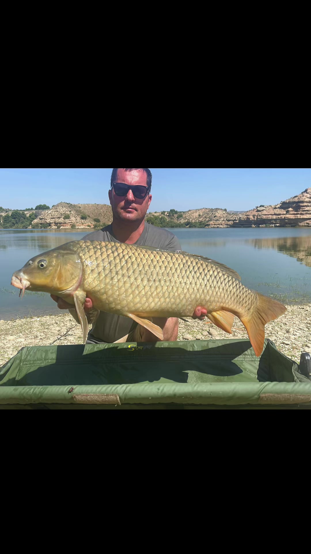 @Royal carp 🐟🐟🤩💪