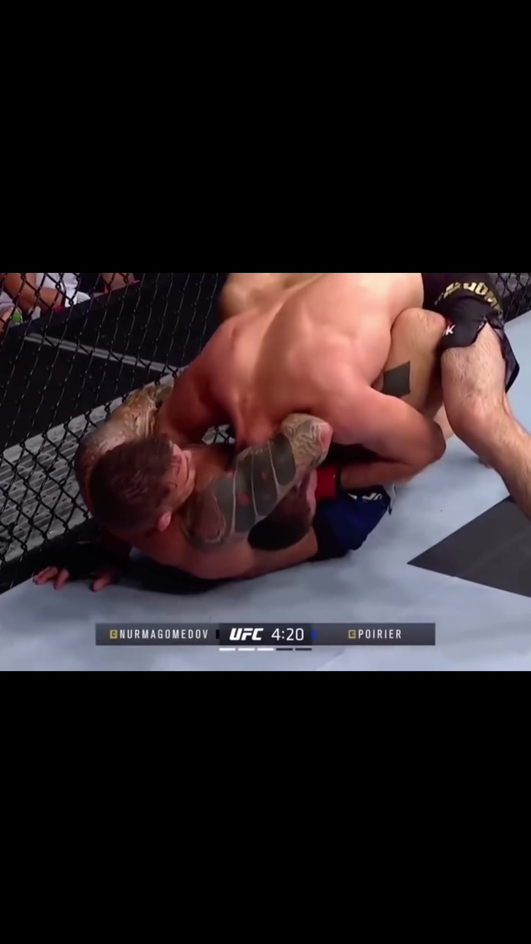 @w r e s t l e r 🤼♂️