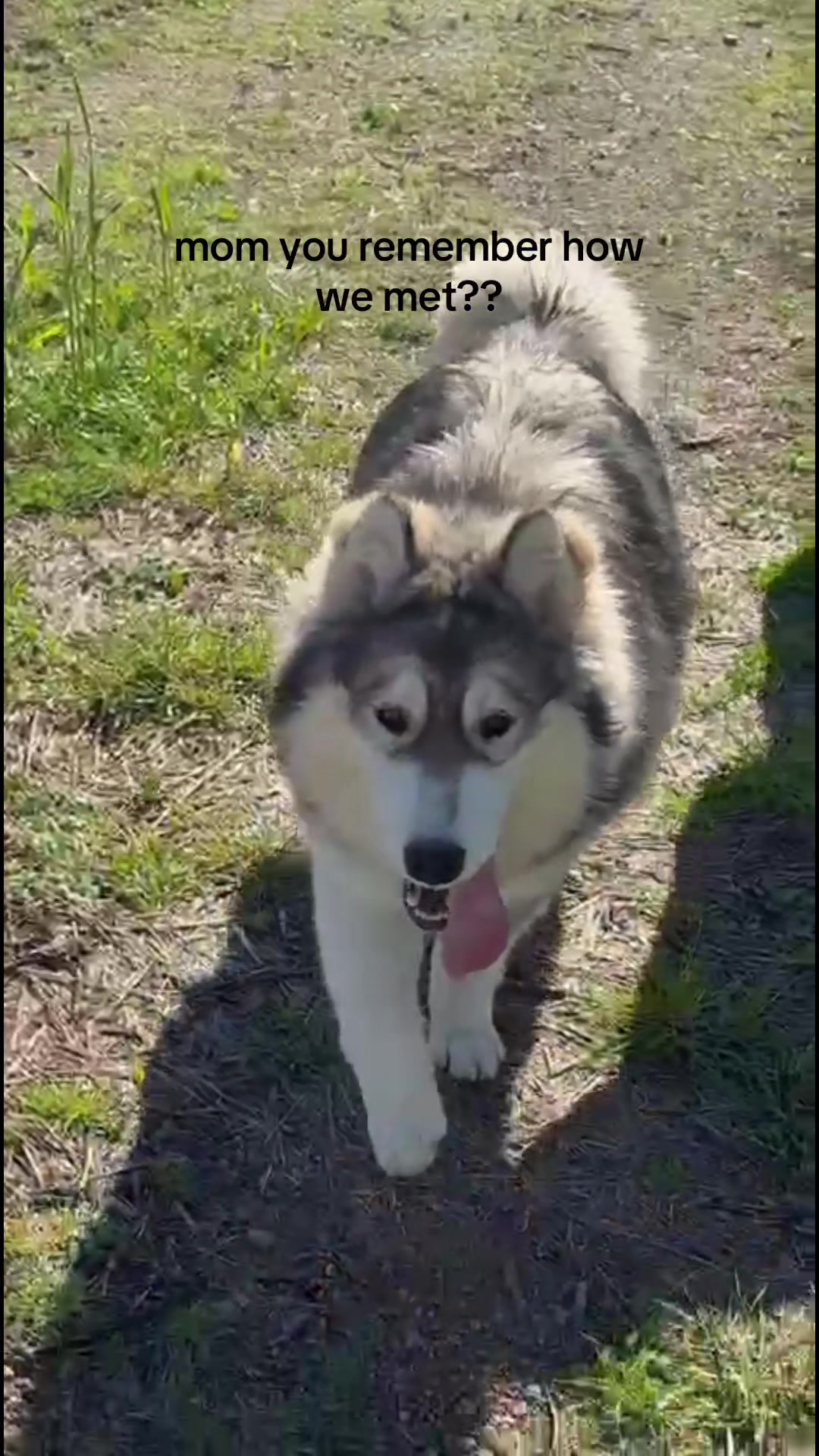 @martins 🤍