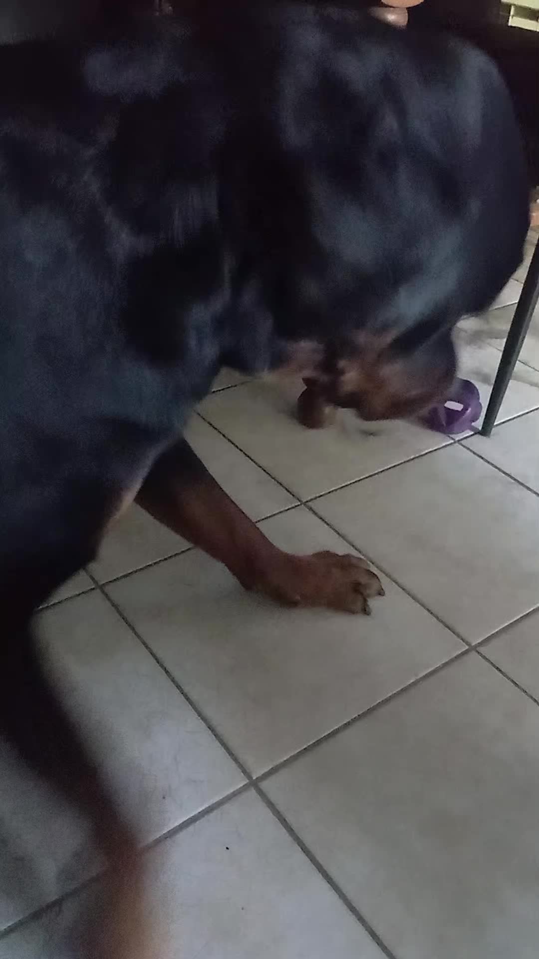 @Famille Rott