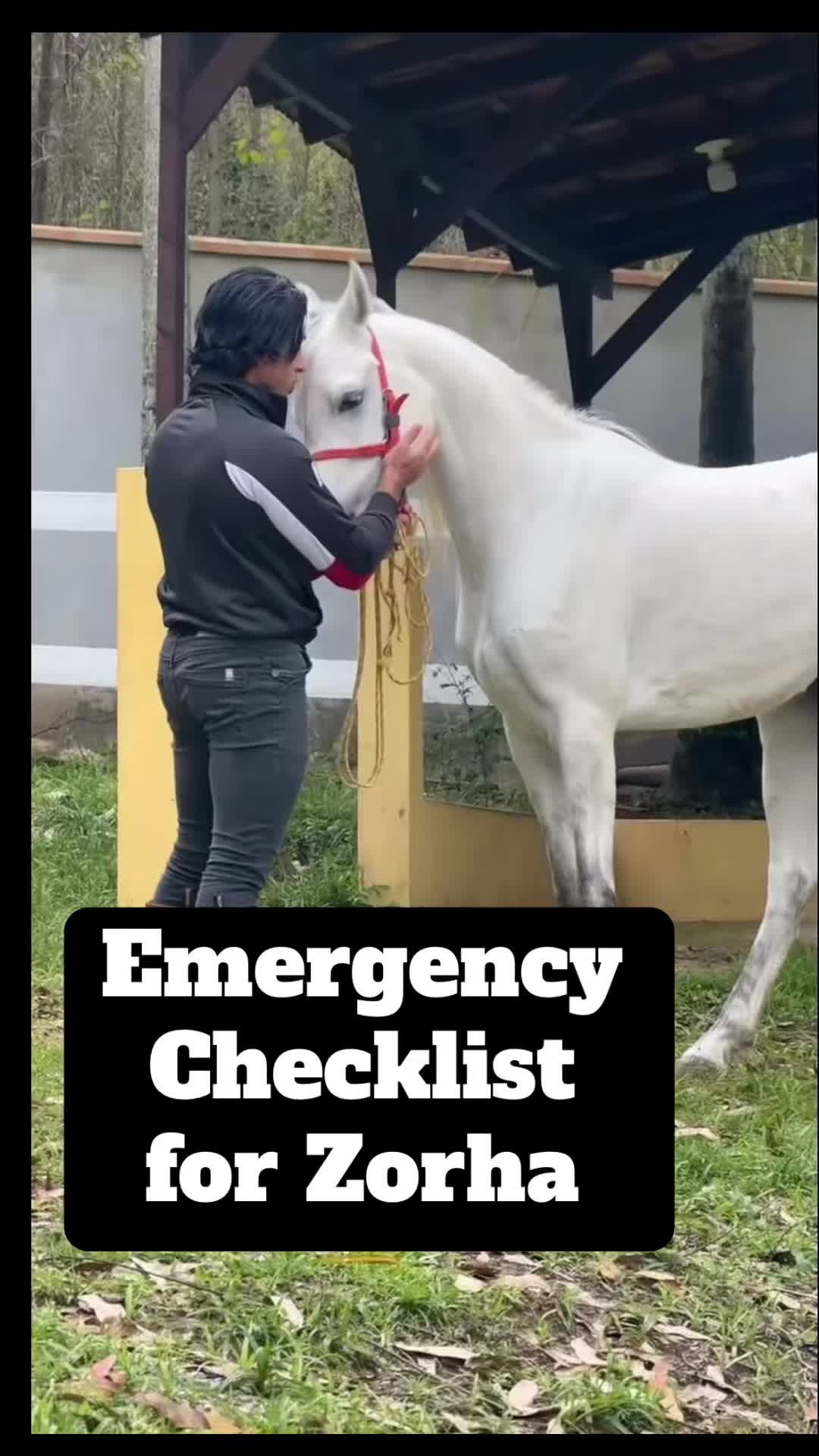 @BTZ