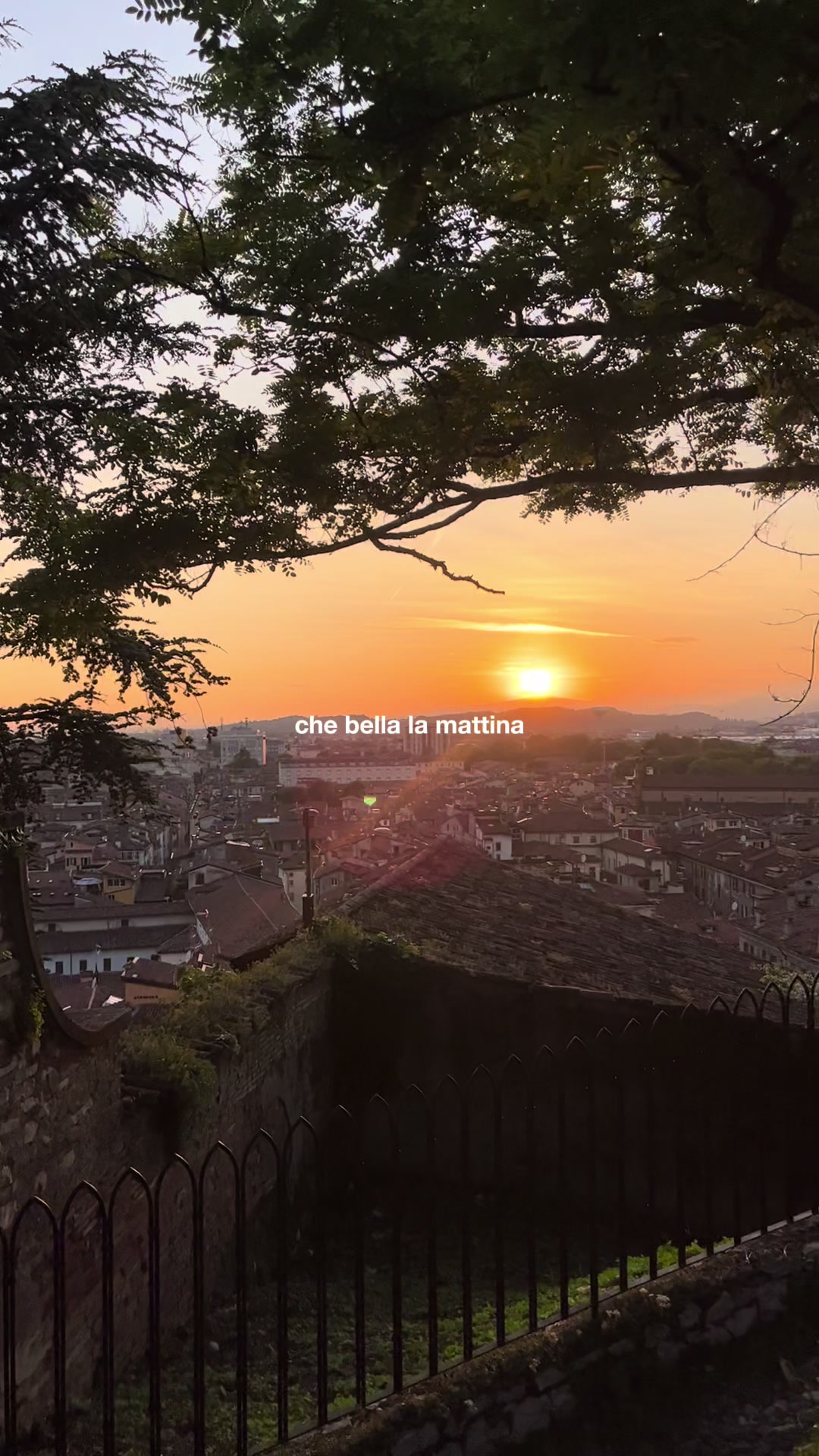 @M E M I ☆