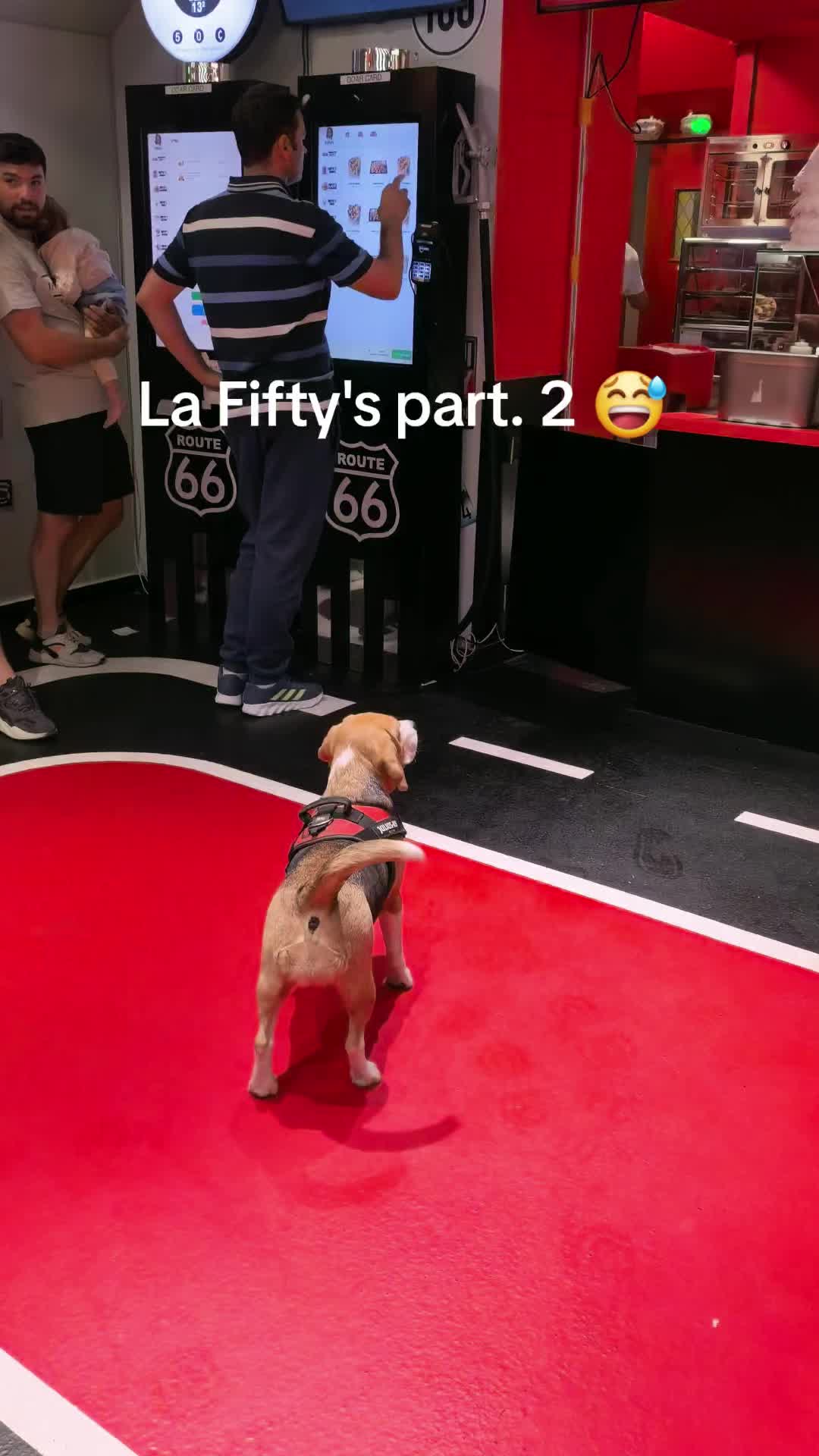 @Bogdănel 😎 & 🐶 Masha