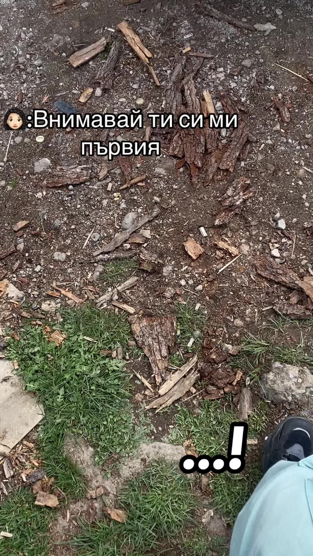 @Georgi_S