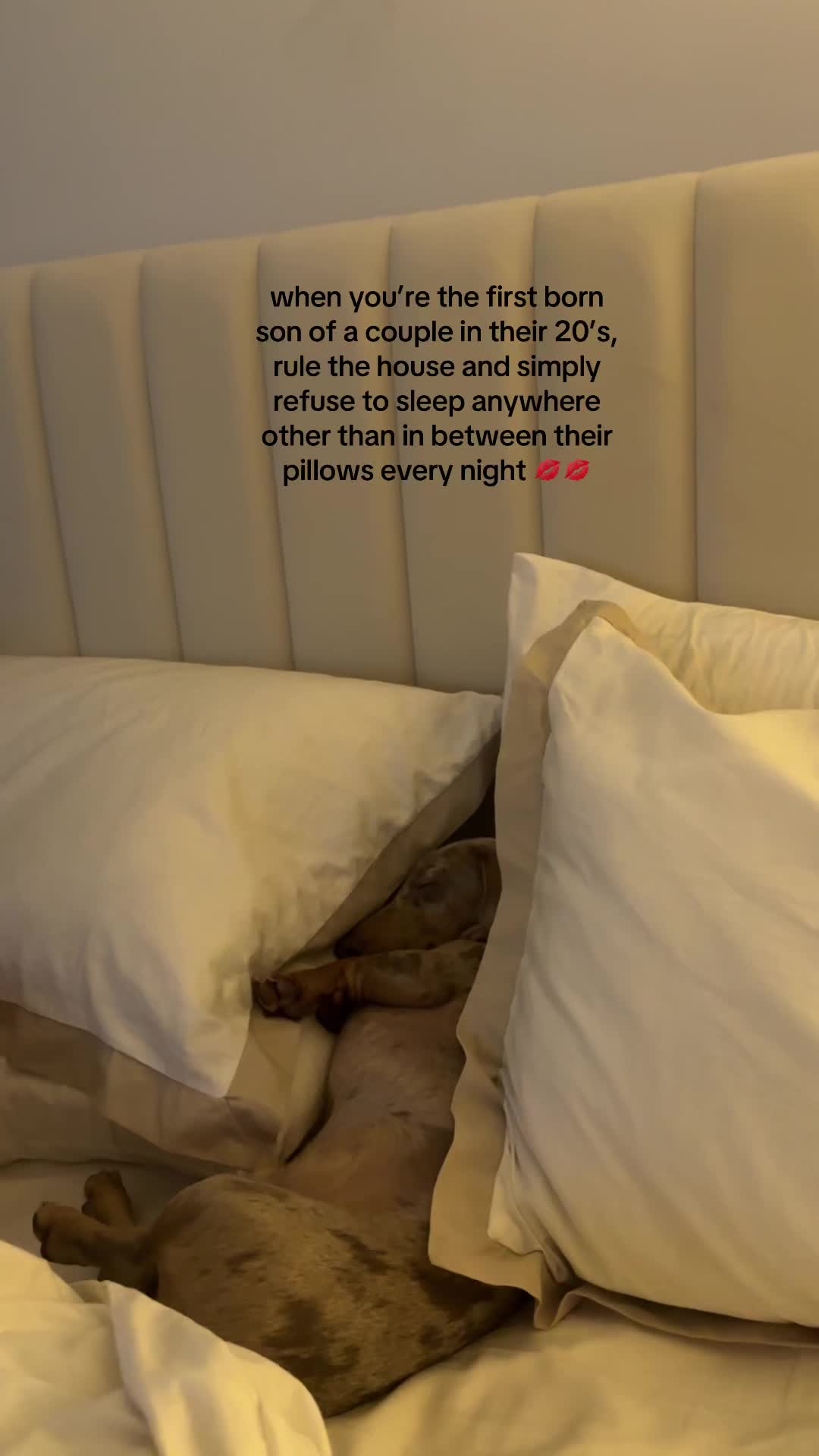 @Elvis the Sausage Boy