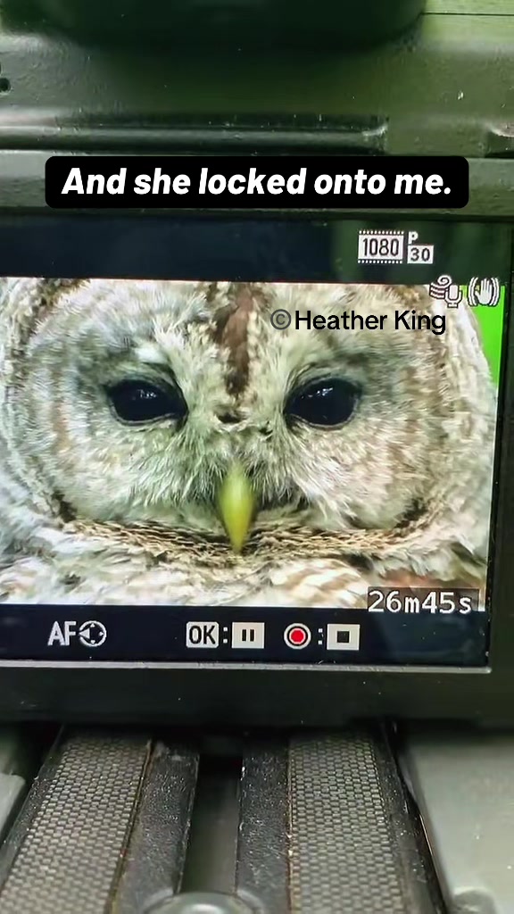 @Theeowlqueen🇨🇦