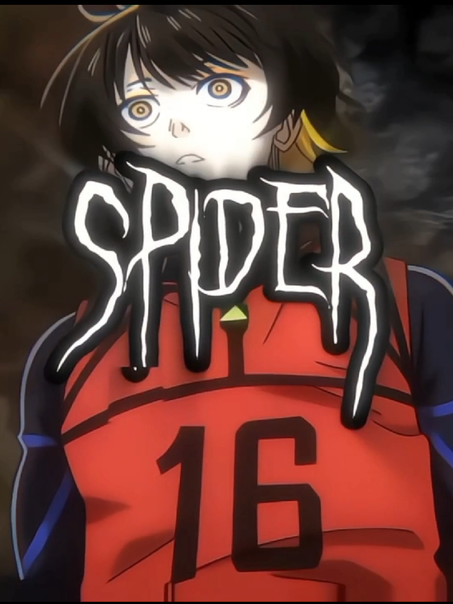 @𝑷 | Spider