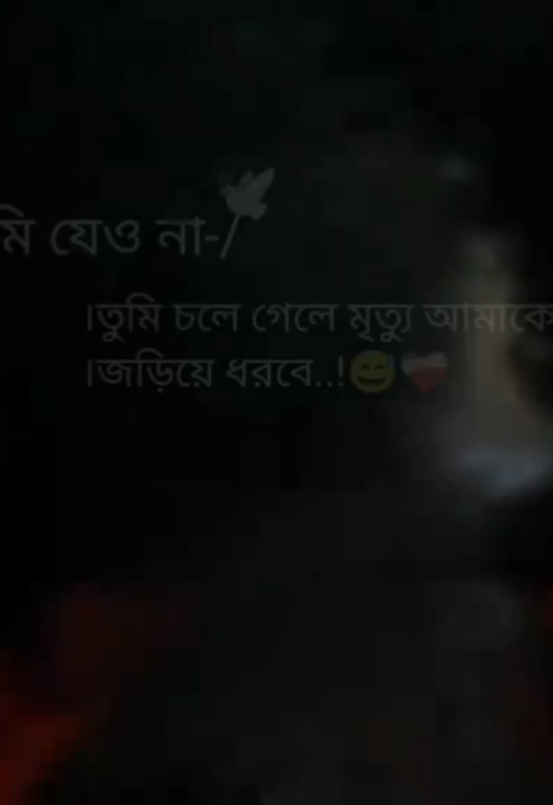 @🎀«-R̷S̷ ̷R̷a̷s̷h̷e̷d̷✍:-»🎀