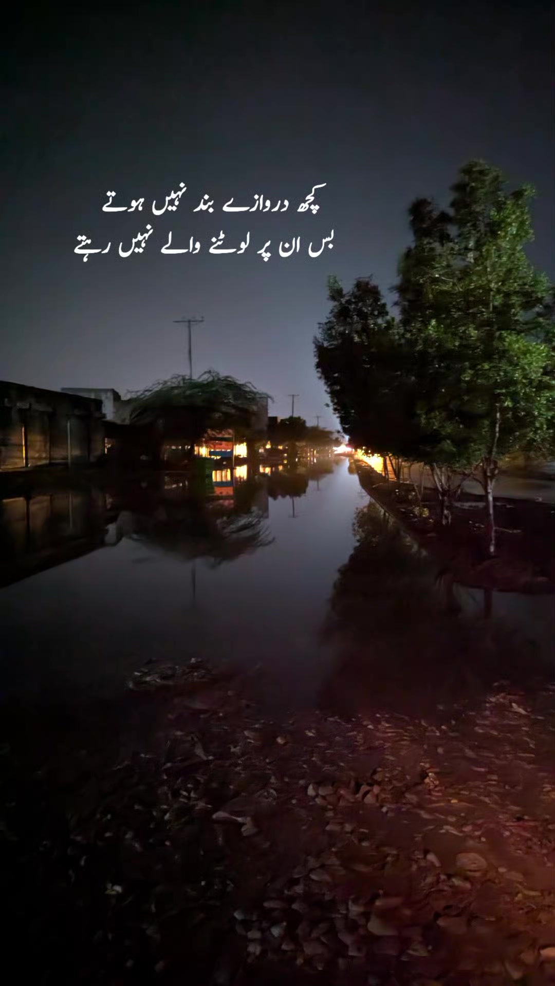 @Saqlain Shahi 🇵🇰