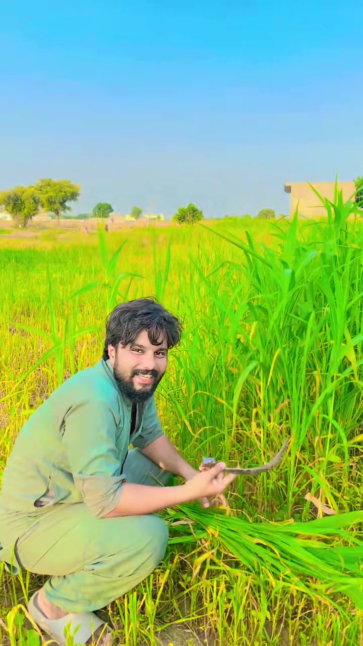 @مان تلہ گنگ دا🔥🦾