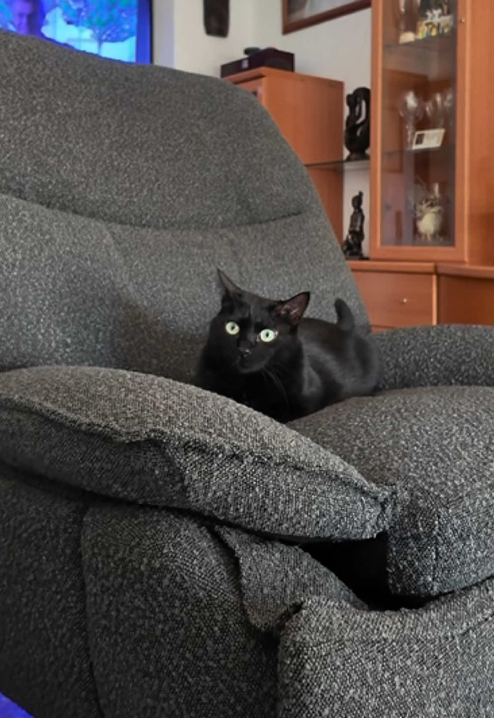 @BlackCatsMatter