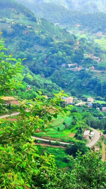 @Sanu Tamg