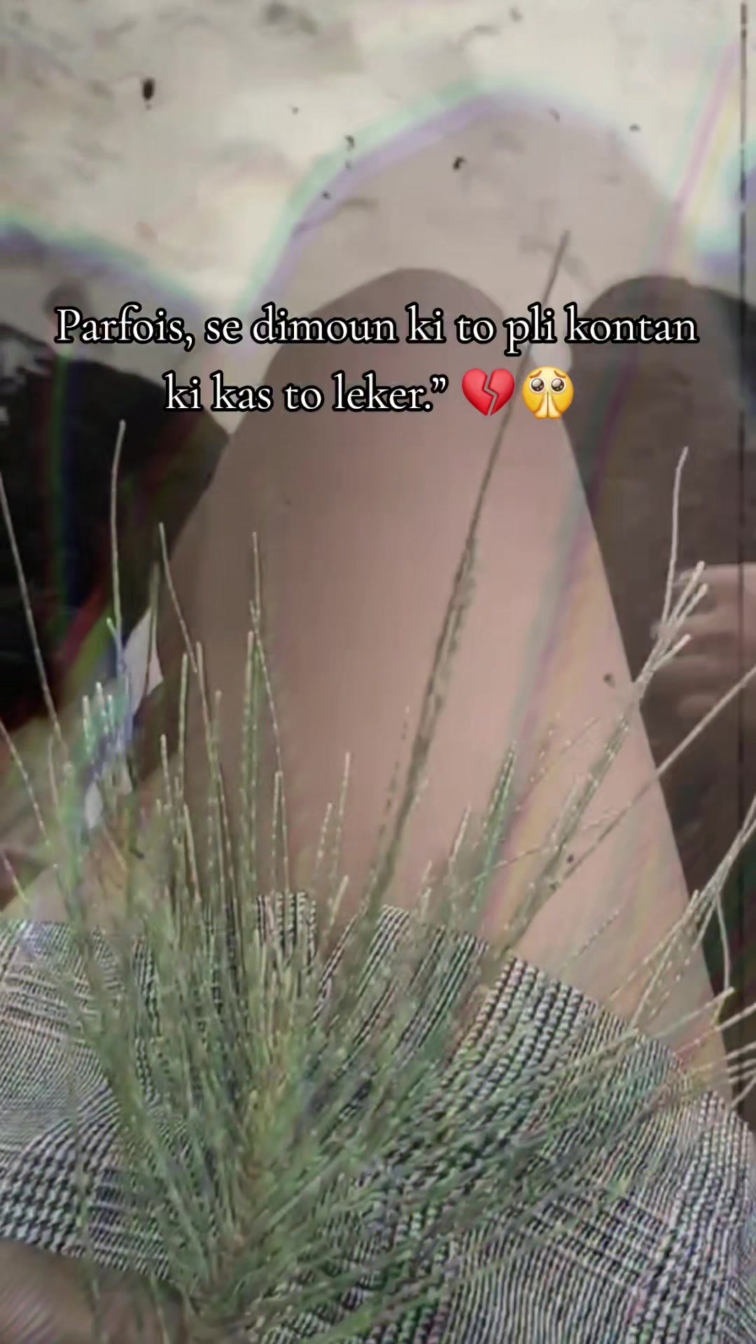 @Shreeya❤️