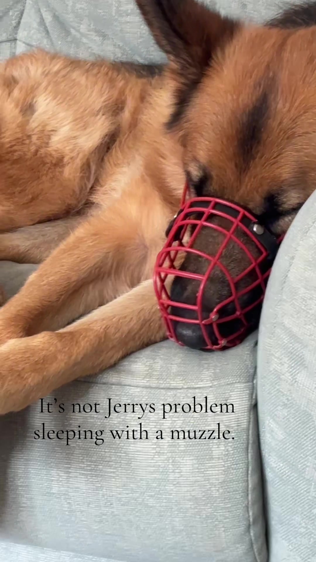 @gabbyjerry4
