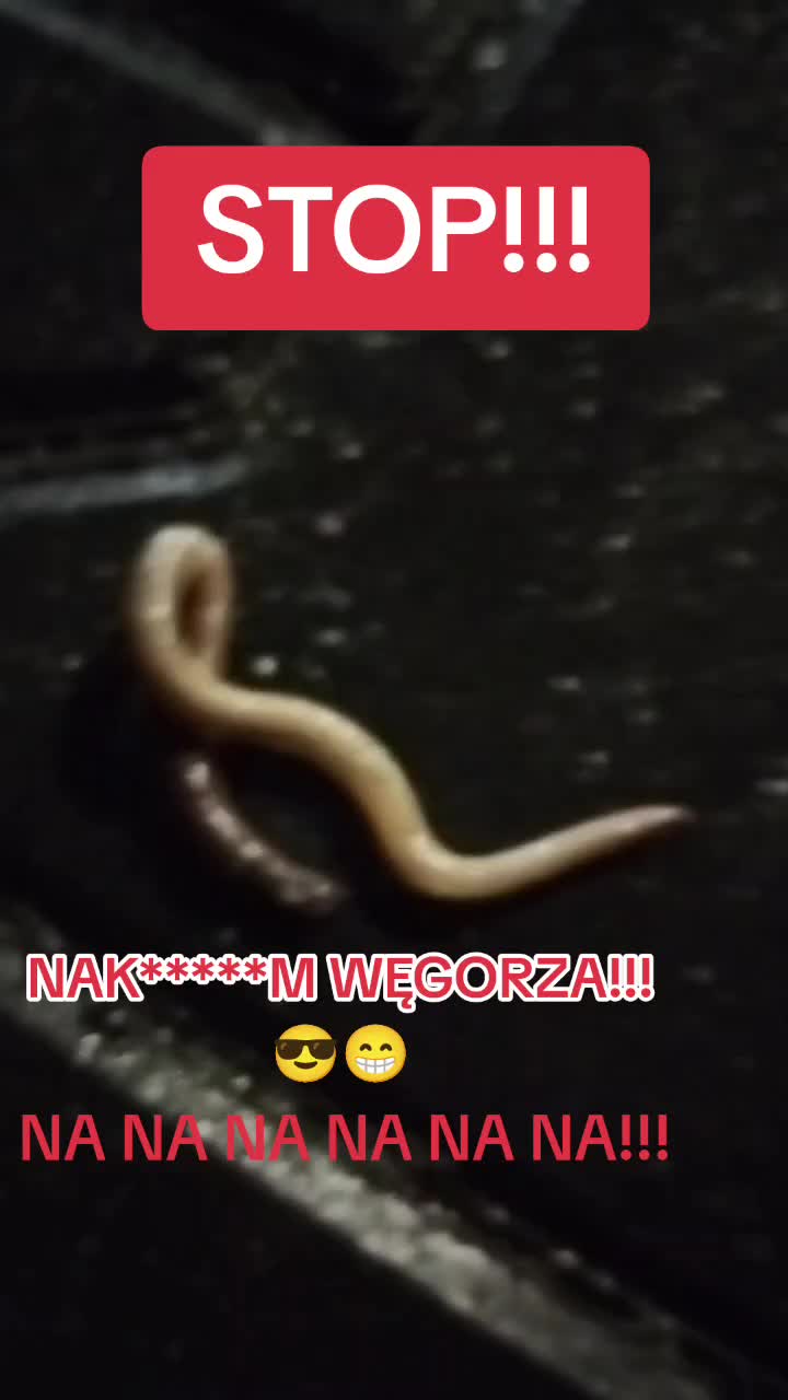 @Mikołaj Czyżewski