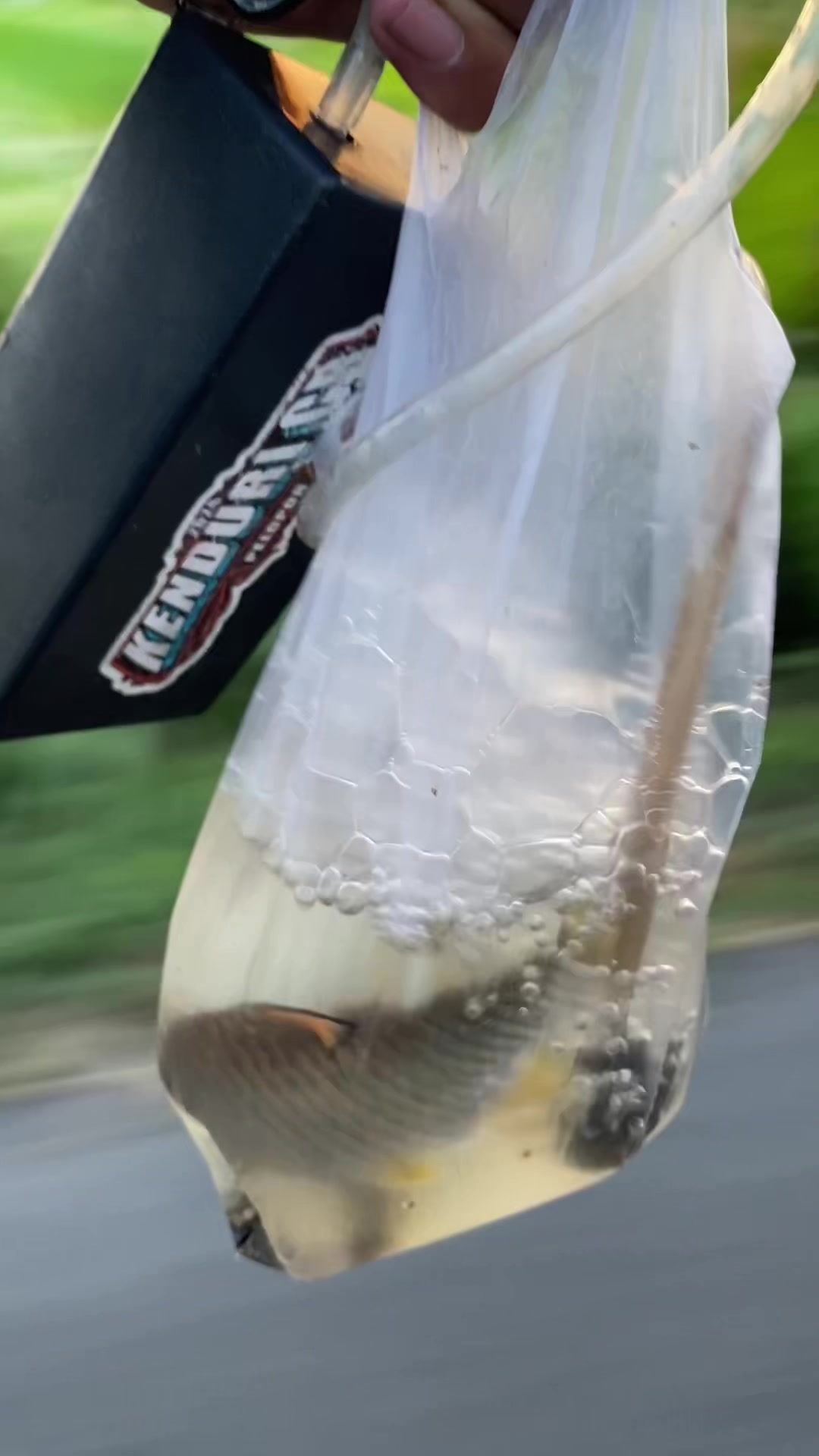 @ULTRA MICROFISHING
