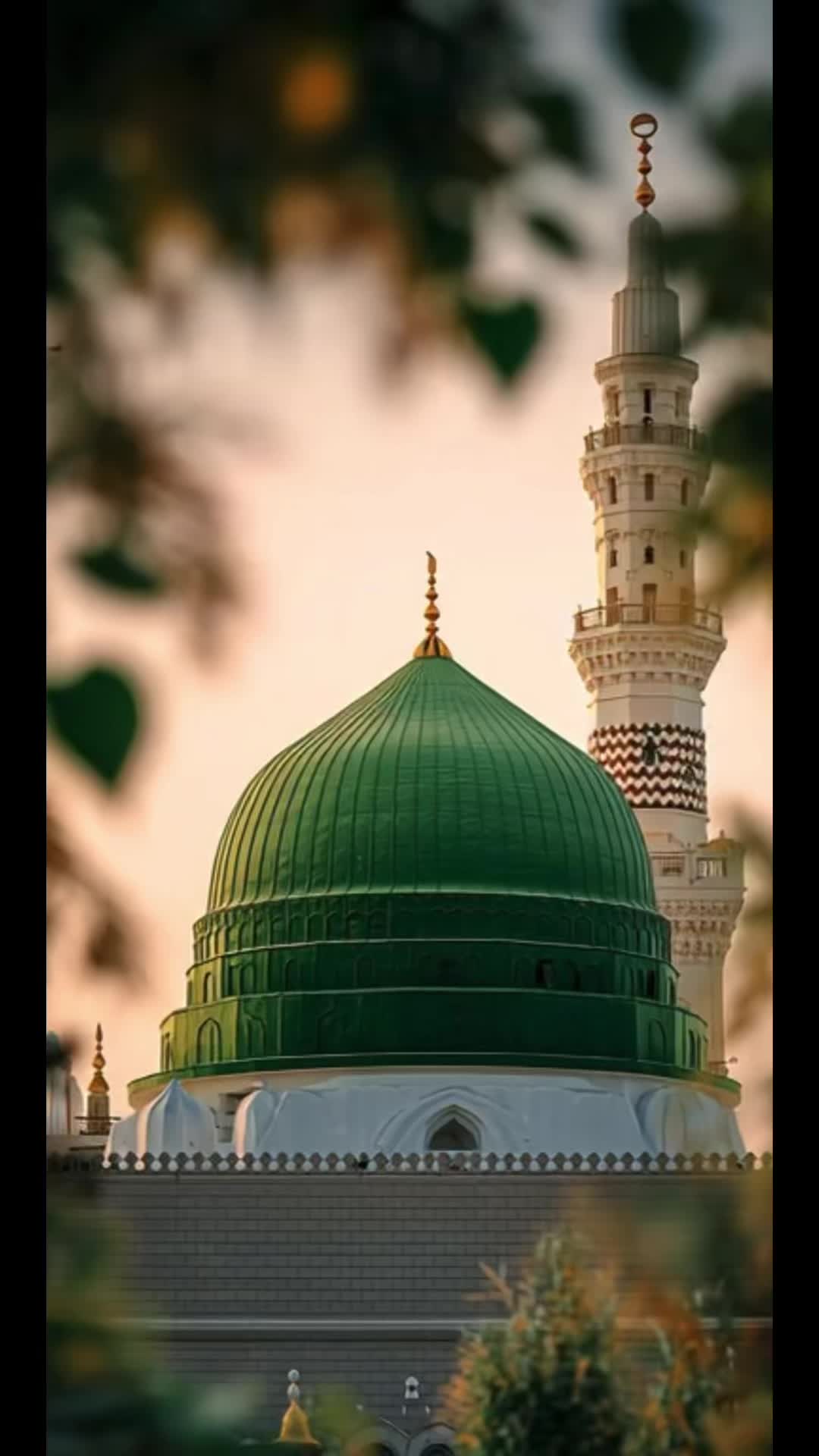@Allah’s servant🌍